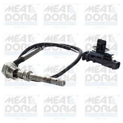 Sensor, exhaust gas temperature